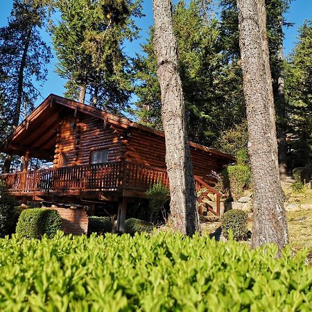 Вилла Cerro Cumbrecita Ла-Кумбресита Экстерьер фото
